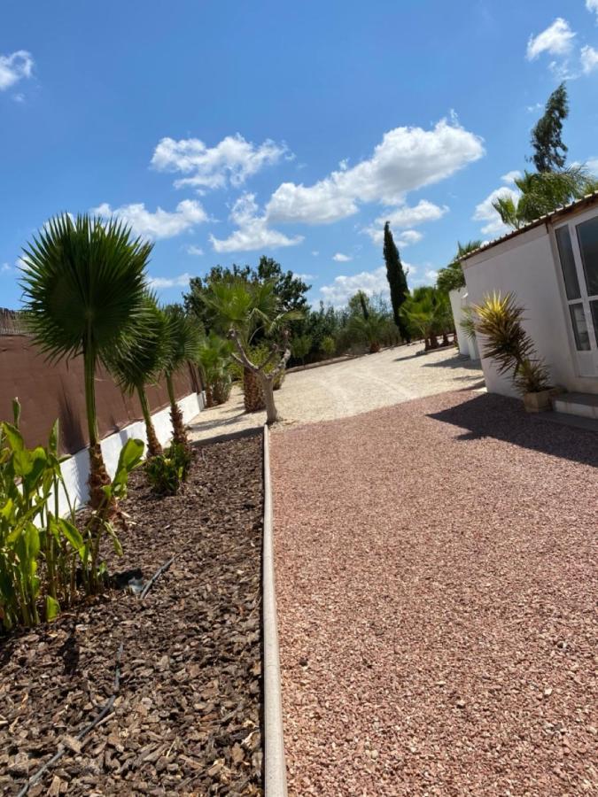 Villa Arizona Catral エクステリア 写真
